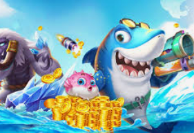 赏金国际vip登录入口电脑免费版