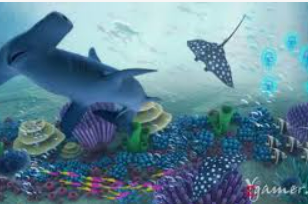 赏金国际vip登录入口手机版